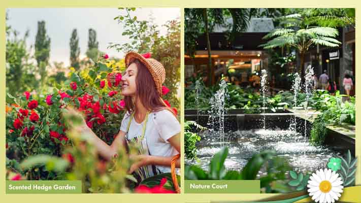 Gurugram's X Factor-13