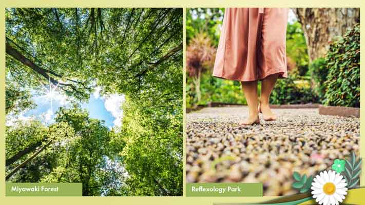 Gurugram's X Factor-14